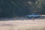 IMG_1916